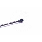 Vérin Hayon de Coffre Pour Toyota Verso 689500F030 689500F031 689600F030