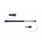 Vérin Hayon de Coffre Pour Toyota Verso 689500F030 689500F031 689600F030