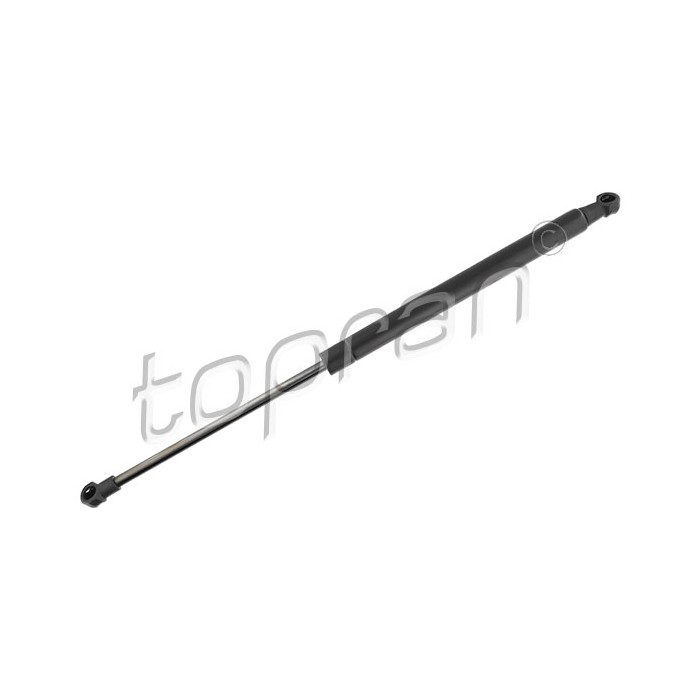 Vérin Hayon de Coffre Pour Toyota Yaris 689500D200 689500D210 689500WC40