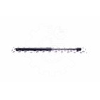 Vérin Hayon de Coffre Pour Toyota Yaris 689500D020 689500D021 689500D022