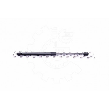 Vérin Hayon de Coffre Pour Toyota Yaris 689500D020 689500D021 689500D022
