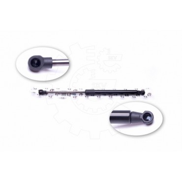 Vérin Hayon de Coffre Pour Volvo S80 I 9203523 9483297