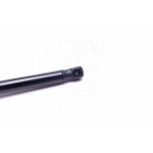 Vérin Hayon de Coffre Pour Volvo S80 II 30649836 30779837
