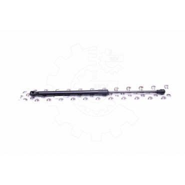 Vérin Hayon de Coffre Pour VW Golf VI 5K6827550B 5K6827550D WHT004118 WHT006581