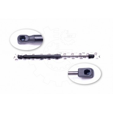 Vérin Hayon de Coffre Pour VW Passat 3C5827550A 3C5827550B 3C5827550C