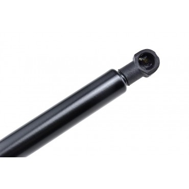 Vérin de Capot Moteur Pour Lexus GS 534400W090 534400W091 534500W070 534500W071