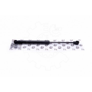 Vérin de Capot Moteur Pour Smart Roadster Coupé Q0009223V003000000