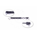 Vérin de Capot Moteur Pour Volvo S60 I S80 V70 II XC70 Cross Country 9154605