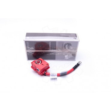 Cable de Batterie Plus Pour BMW Série 1 E81 E87 61129217017 9217017