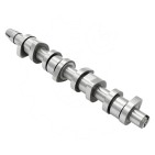 Arbre à came Pour VW Passat Audi A4 038109101AF