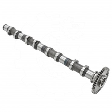 Arbre à came Pour BMW X5 F15, F85 11317797513 11318509119 11318575436