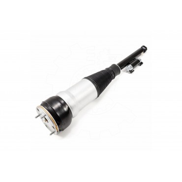 Amortisseur Pneumatique Suspension Arrière Gauche Pour Mercedes-Benz 2223202900