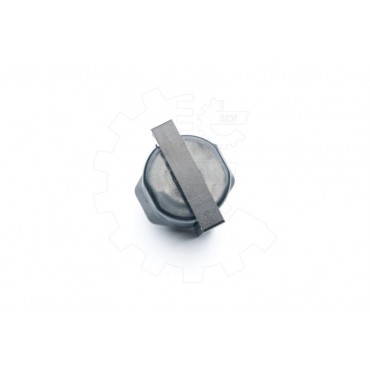Bobine d'Allumage Pour Chevrolet Astro Blazer S10