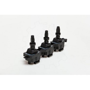 Bobine d'Allumage Pour Peugeot Renault Citroën 597057 7701205906 0000597057