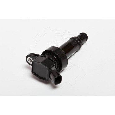 Bobine d'Allumage Pour Hyundai i30 i40 ix35 Veloster Kia Carens IV Soul II