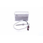 Capteur Température de Gaz d'échappement Pour Chrysler 300 C Jeep 5146327AB
