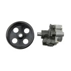 Pompe de direction assistée Pour DODGE DAKOTA DURANGO DN 52106-253AD 52106253AD