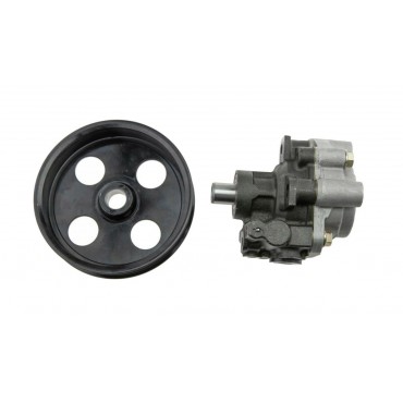 Pompe de direction assistée Pour DODGE DAKOTA DURANGO DN 52106-253AD 52106253AD