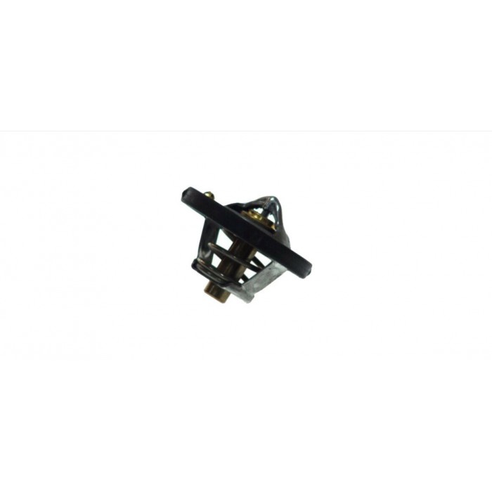 Thermostat d'eau Pour B-MAX C-MAX COURIER FIESTA FOCUS 2 C30 S40 V50 1306004