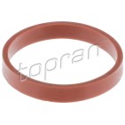 Joint d'étanchéité Collecteur d'Admission Pour VW Audi Seat Skoda 03F129717