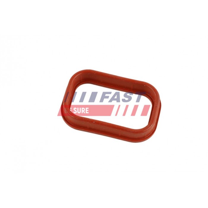 Joint d'étanchéité Collecteur d'Admission Pour Peugeot Fiat Ford Citroën