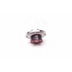 Moyeu de Roue Arrière Pour Opel Fiat Vauxhall 1604017 51787397 1604018 55701518