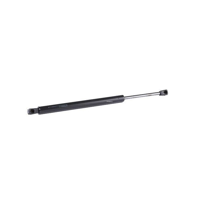 Vérin de coffre Arrière Hayon Pour CHRYSLER 300 C LX LE 2004-2010 04589626AA