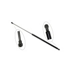 Vérin Hayon de coffre lunette arrière Pour RENAULT LAGUNA 7703024021 8200000896