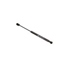 Vérin Hayon de coffre lunette arrière Pour RENAULT LAGUNA III KT0/1 904600001R