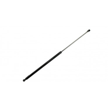 Vérin Hayon de coffre Pour ABARTH FIAT 500C 595C 695C 312_ 51839496 51859965