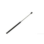 Vérin Hayon de coffre Pour AUDI A8 4E2 4E8 2002-2010 4E0827551C 4E0827551B
