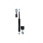 Vérin Hayon de coffre Pour MERCEDES CLASSE R W251 V251 2517400045