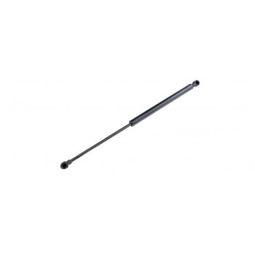 Vérin Hayon de coffre Pour RENAULT CLIO III BR0/1 CR0/1 SB_ 8200299546 32062565