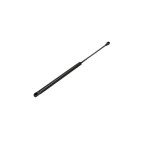 Vérin Hayon de coffre Pour RENAULT LAGUNA III 844310002R 844304692R 844300004R