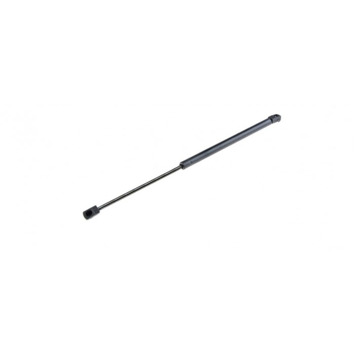 Vérin Hayon de coffre Pour RENAULT MEGANE III KZ0/1 844300009R