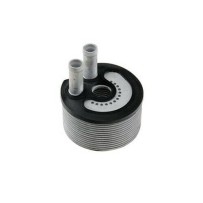 Radiateur Refroidisseur d'huile RENAULT ESPACE III MASTER II TRAFIC 8200969622