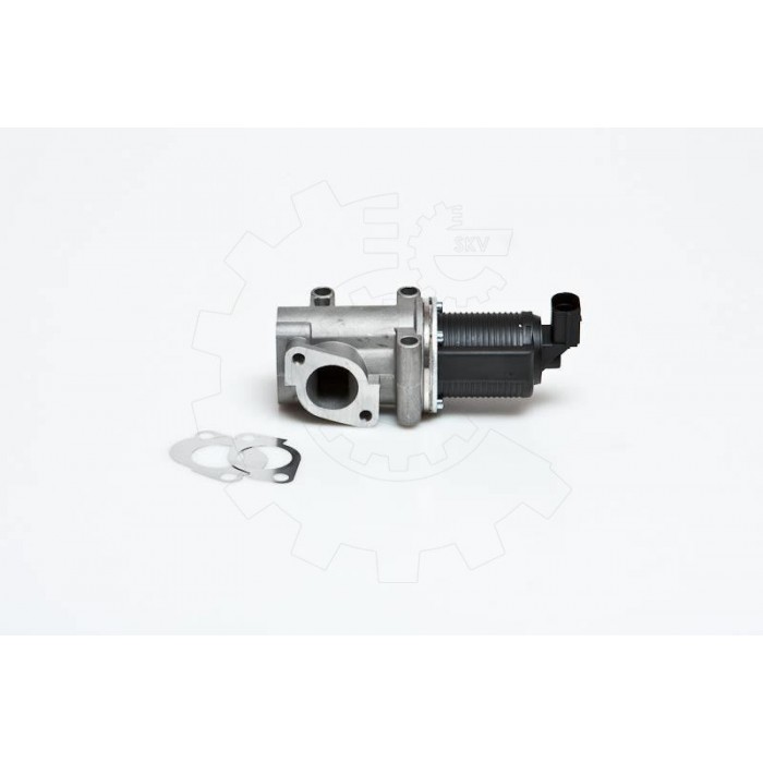Vanne EGR Pour Fiat Brava Alfa Romeo Lancia 71793584 50109013 71793798 71789048