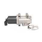 Vanne EGR Pour Opel Fiat Alfa Romeo Suzuki 55215032 552060490 1852079J52 851134