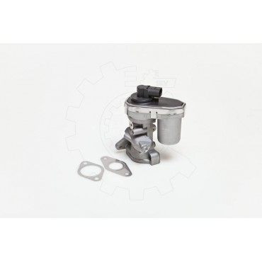 Vanne EGR Pour Peugeot Fiat Ford Alfa Romeo 1618HQ 71789686 1787017 9659694780