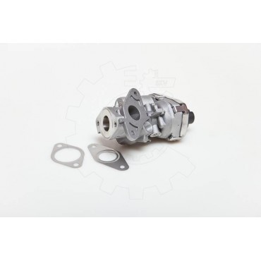 Vanne EGR Pour Peugeot Fiat Ford Alfa Romeo 1618HQ 71789686 1787017 9659694780