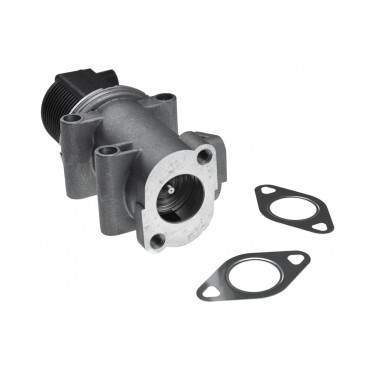 Vanne EGR Pour Opel Fiat Alfa Romeo Suzuki 55215032 55186214 1852079J52 5851596