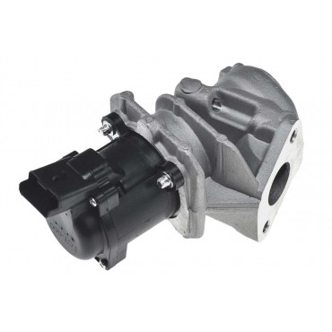 Vanne EGR Pour Peugeot Fiat Ford Suzuki 161859 9672880080 1338675 1852069K00
