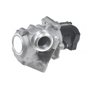 Vanne EGR Pour Peugeot Fiat Ford Suzuki 161859 9672880080 1338675 1852069K00