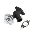 Vanne EGR Pour Peugeot Fiat Citroën Lancia 1628GY 9628693880 1628GYS1 1628JZ
