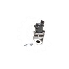 Vanne EGR Pour Peugeot Ford Toyota Citroën 161846 1333611 1618PF 1618N8 1363591