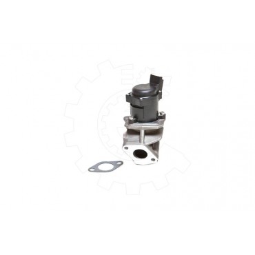 Vanne EGR Pour Peugeot Ford Toyota Citroën 161846 1333611 1618PF 1618N8 1363591