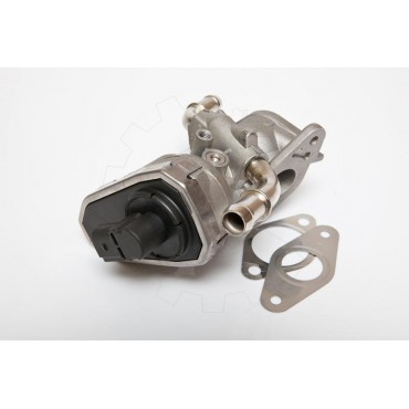Vanne EGR Pour Peugeot Fiat Ford Citroën 1618HQ 71789686 6C1Q9D475AG 1618R5