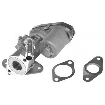Vanne EGR Pour Peugeot Boxer Fiat Ford Citroën 1480549 1788657 8C1Q9D475AA