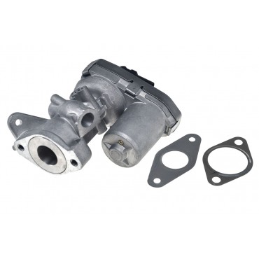 Vanne EGR Pour Peugeot Fiat Ford Citroën 71789685 1787017 71789686 6C1Q9D475AF