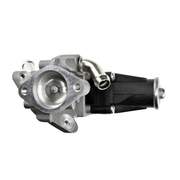 Vanne EGR Pour Peugeot Ford Citroën 1730360 9800555380 1835009 1895826 1932037